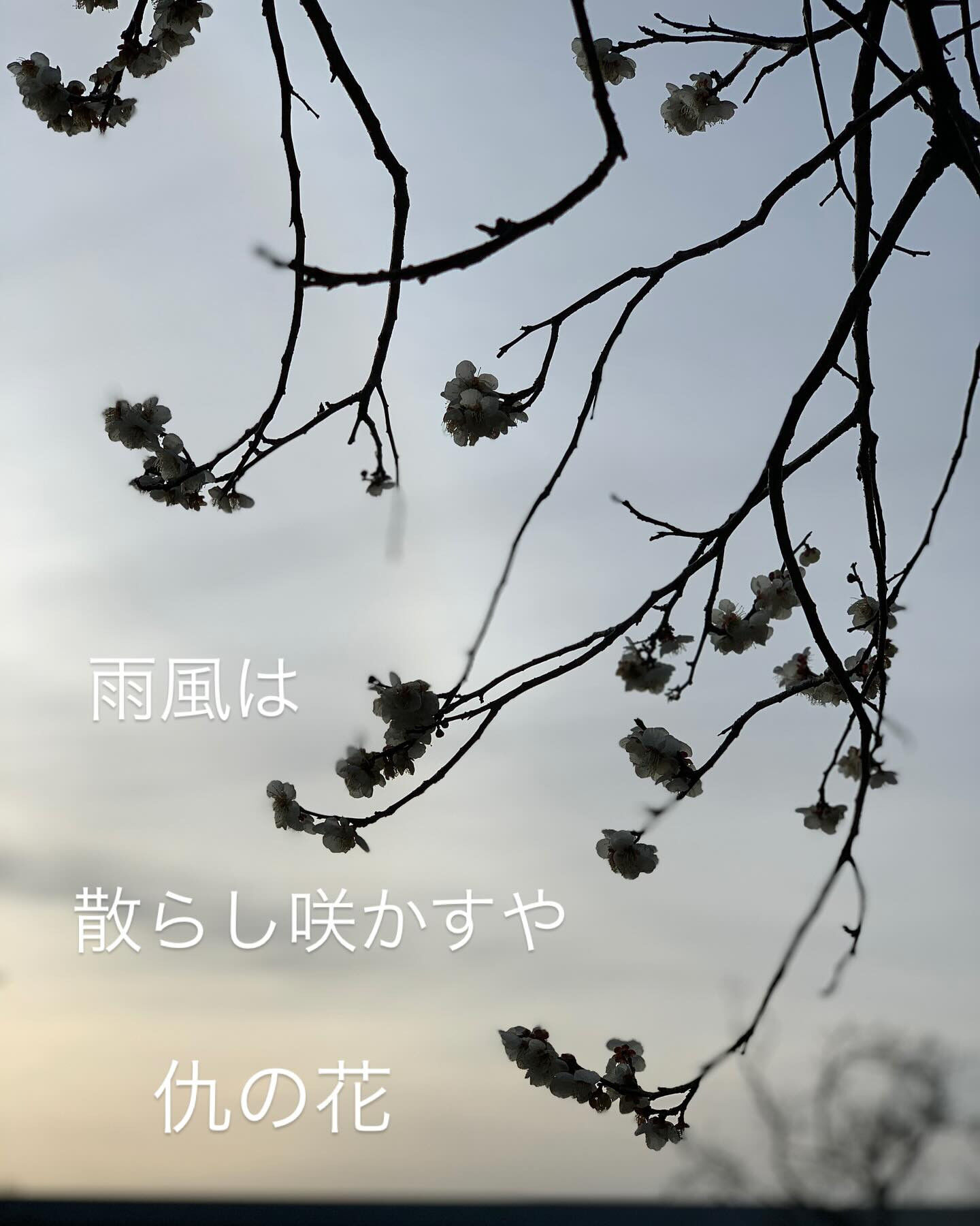 こんにちは