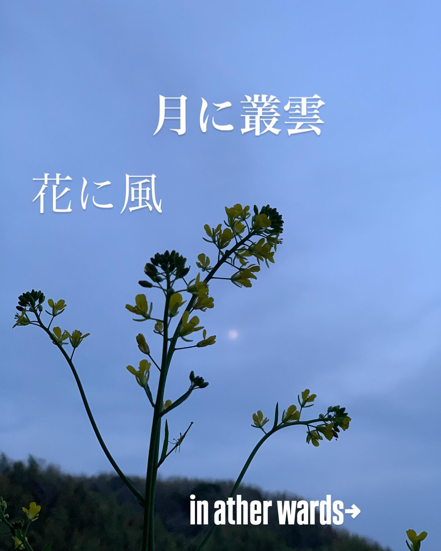 お疲れ様です