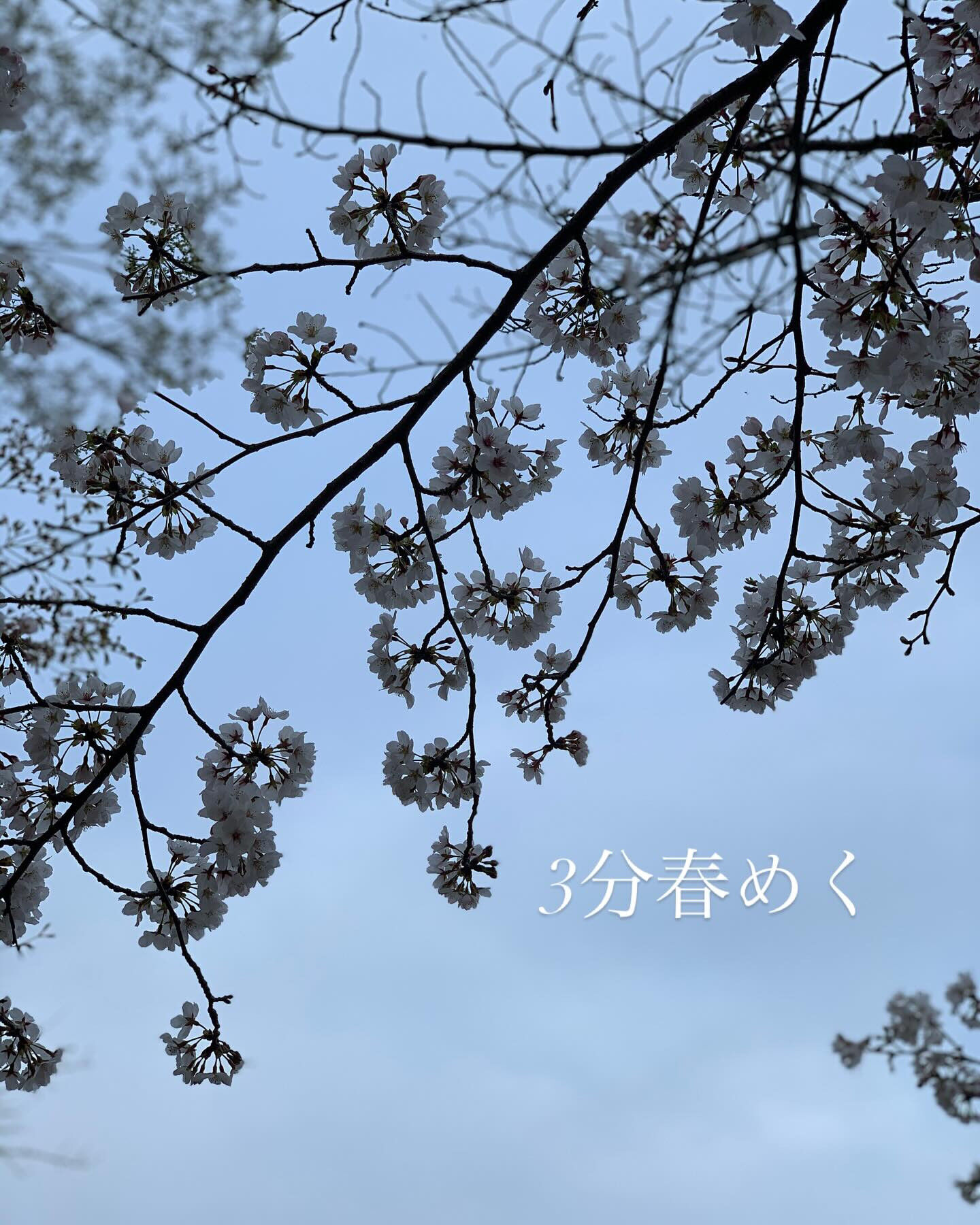 『隙間』